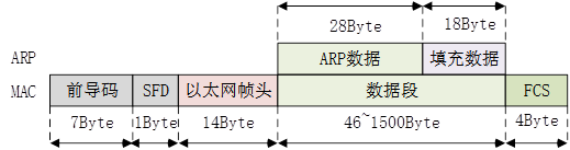 ARP 协议 MAC 帧